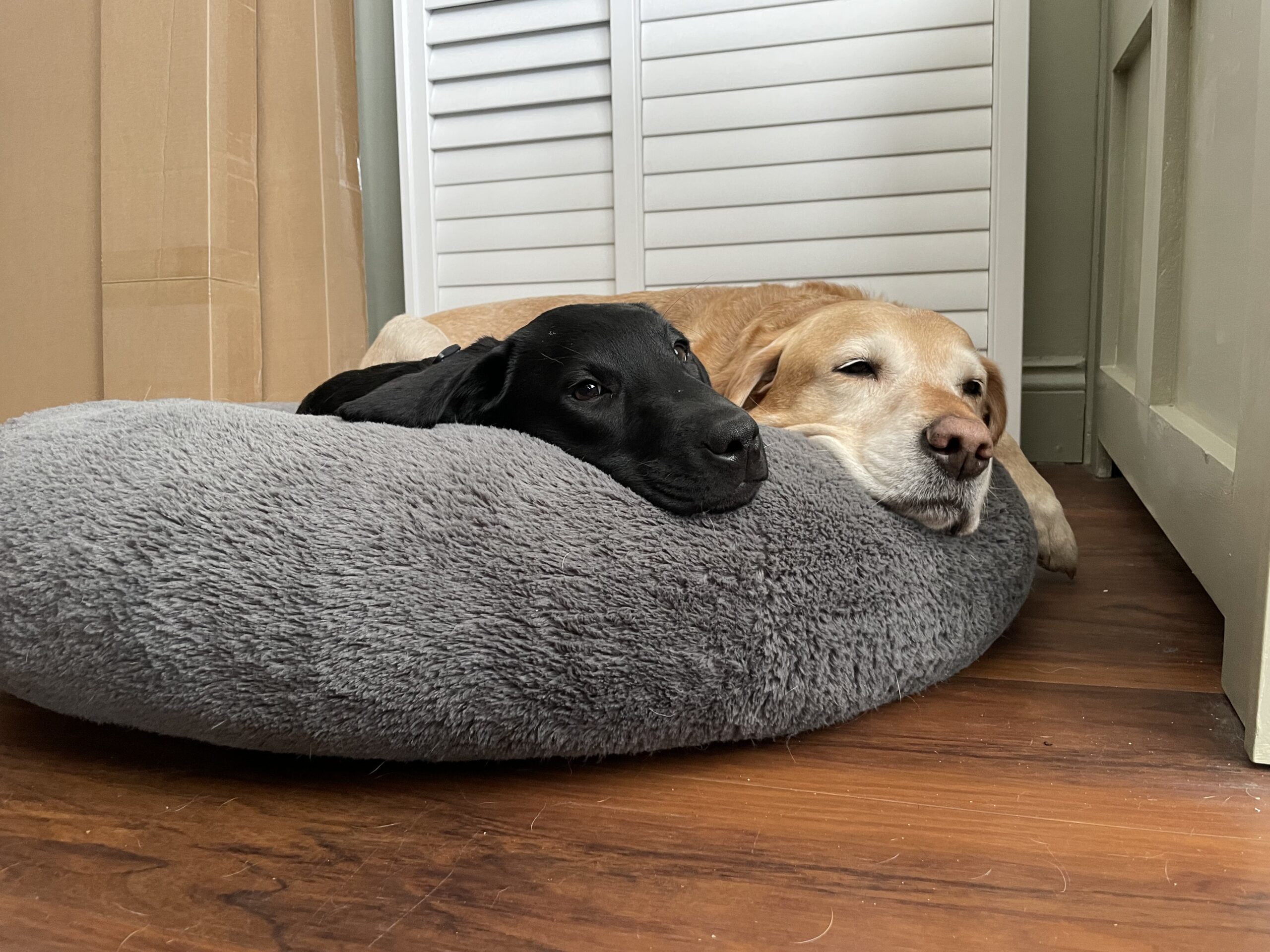 About Us Bay Shutters